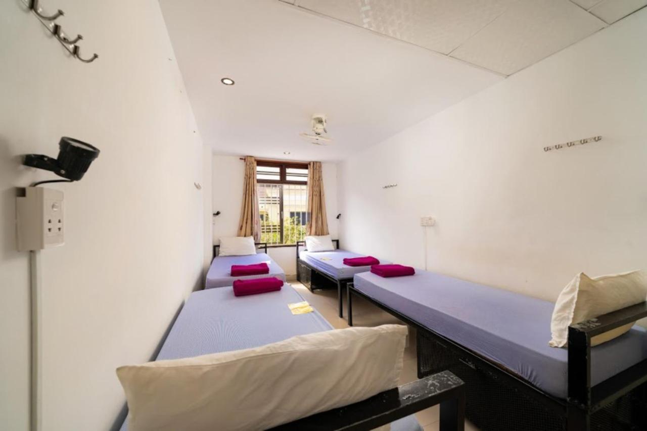 הוי אן Tribee Kinh Hostel & Bar מראה חיצוני תמונה